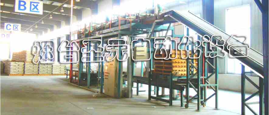 全自動碼垛生產線案（àn）例 (圖9)