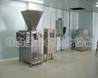 混合式閥口袋（dài）包裝機